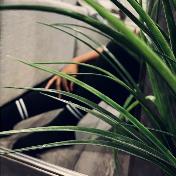 Meet your Posher, Chelsi - Picture 1 of 1